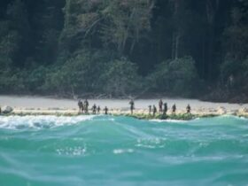 Pulau Sentinel Fakta, Misteri, dan Alasan Dunia Harus Menjaga Jarak