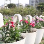 Bagaimana Cara Tumbuhan Berbunga Berkembang Biak Panduan Lengkap untuk Pemula