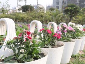 Bagaimana Cara Tumbuhan Berbunga Berkembang Biak Panduan Lengkap untuk Pemula