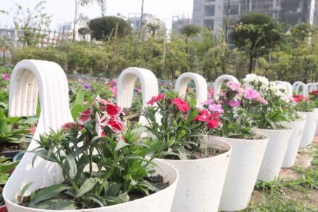 Bagaimana Cara Tumbuhan Berbunga Berkembang Biak Panduan Lengkap untuk Pemula