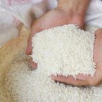 Mengapa Harga Beras Naik di Indonesia Penyebab, Dampak, dan Solusi