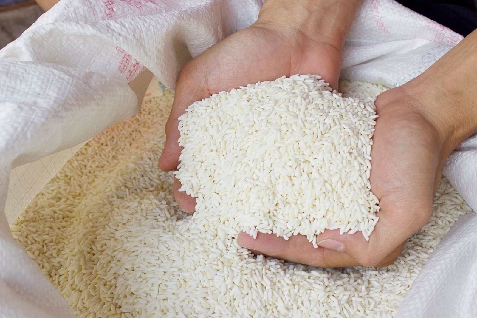 Mengapa Harga Beras Naik di Indonesia Penyebab, Dampak, dan Solusi