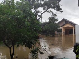 Banjir di Sumatera : Penyebab, Dampak, dan Solusi Menghadapi Bencana yang Semakin Sering Terjadi