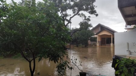 Banjir di Sumatera : Penyebab, Dampak, dan Solusi Menghadapi Bencana yang Semakin Sering Terjadi