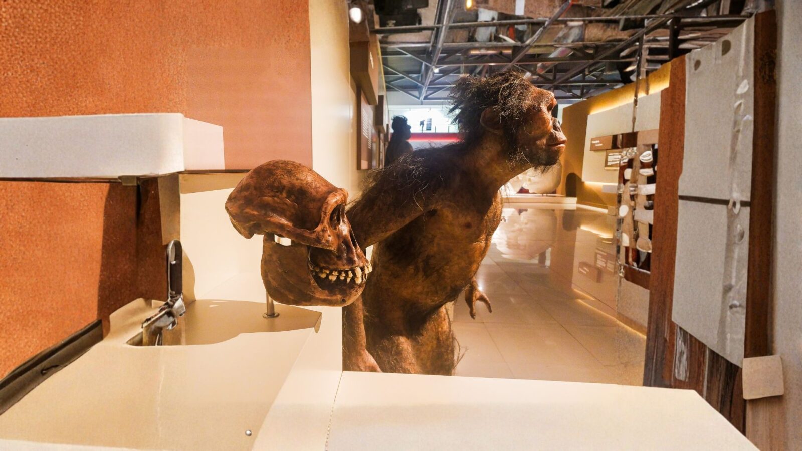 Fosil Manusia Purba: Jejak Evolusi Manusia dari Masa Prasejarah