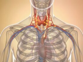 Fungsi Kerongkongan: Peran Penting dalam Sistem Pencernaan Manusia