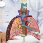 Jelaskan Organ Penyusun Sistem Pernapasan Manusia Beserta Fungsinya Secara Lengkap dan Mudah Dipahami