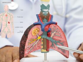 Jelaskan Organ Penyusun Sistem Pernapasan Manusia Beserta Fungsinya Secara Lengkap dan Mudah Dipahami