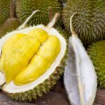 Musang King: Durian Premium dengan Rasa Legendaris