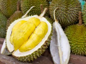 Musang King: Durian Premium dengan Rasa Legendaris