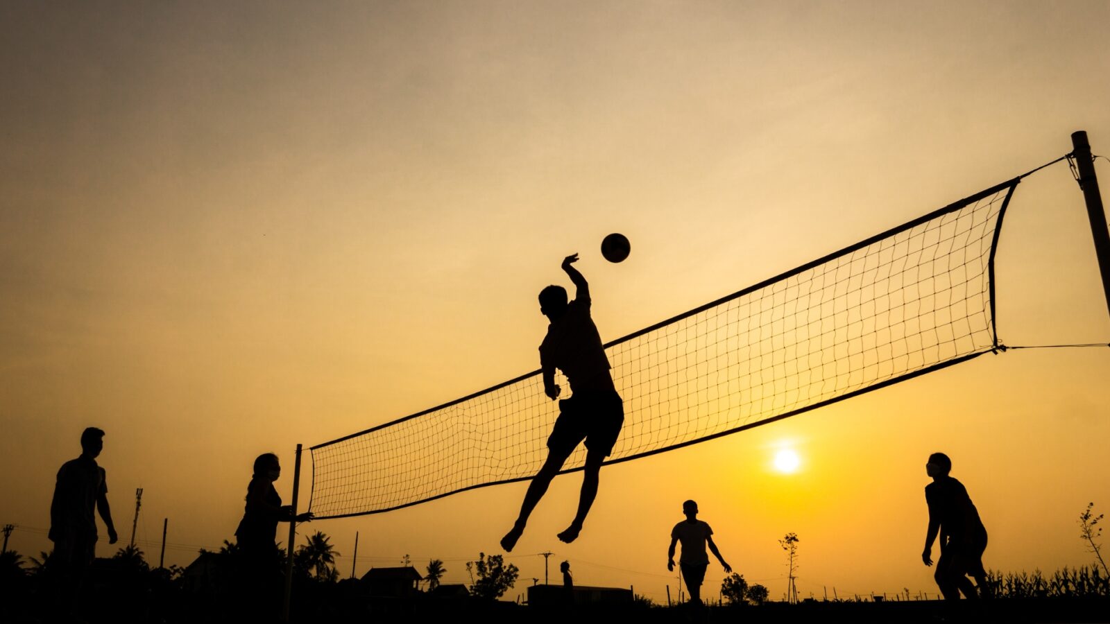 Tinggi Net Bola Voli untuk Putra Adalah: Standar Resmi dan Penjelasan Lengkap