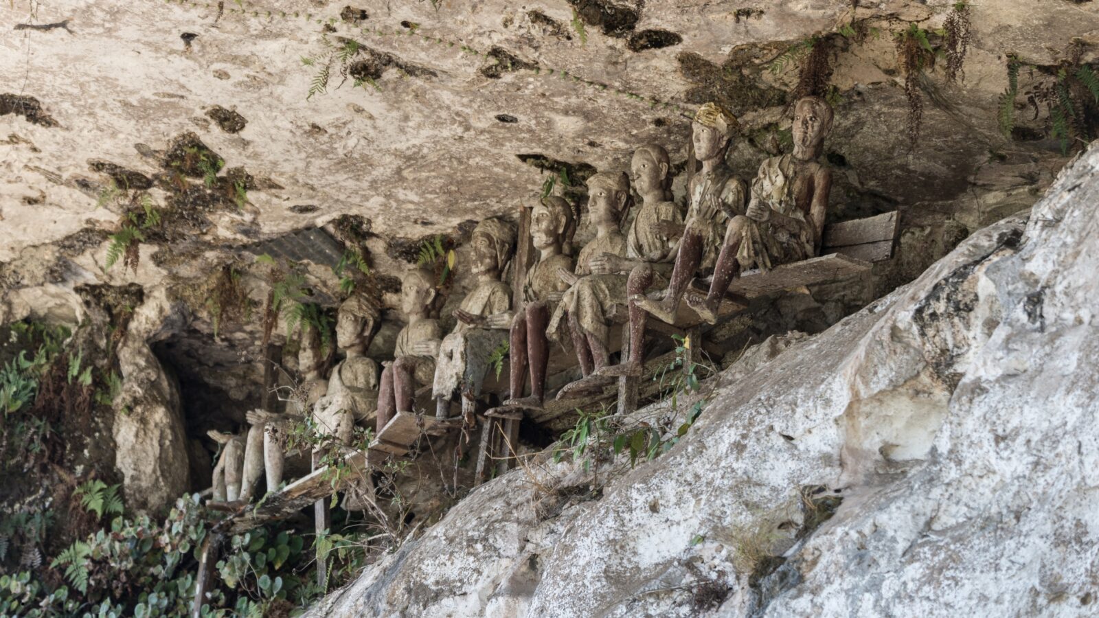 Mengenal Tradisi Mumifikasi di Toraja Sulawesi: Ritual Ma’nene yang Unik