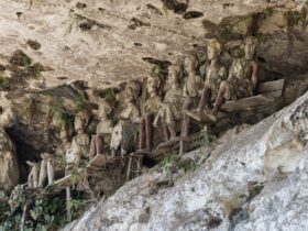 Mengenal Tradisi Mumifikasi di Toraja Sulawesi: Ritual Ma’nene yang Unik