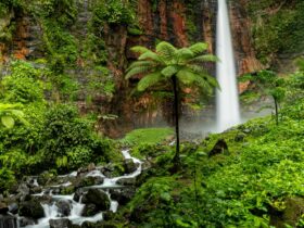 Air Terjun Ponot: Pesona Tertinggi di Indonesia yang Wajib Kamu Kunjungi