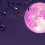 Apa Itu Fenomena Strawberry Moon dan Kapan Terjadi di 2026?