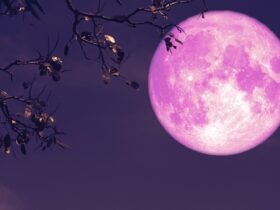 Apa Itu Fenomena Strawberry Moon dan Kapan Terjadi di 2026?