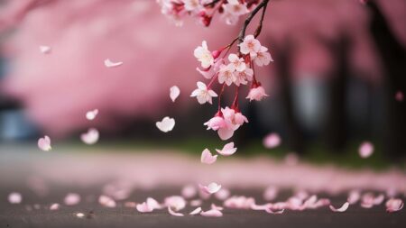 Gugur Bunga: Makna, Sejarah, dan Nilai Kehormatan dalam Lagu Nasional Indonesia