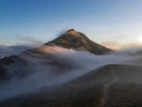 Gunung Prau Tinggi MDPL, Jalur Pendakian, dan Tips Naik yang Aman