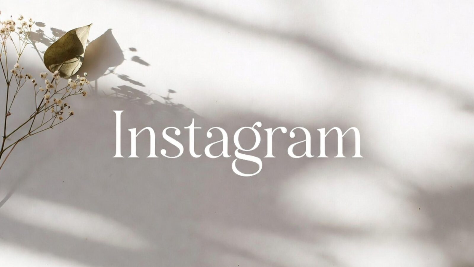 Contoh Bio IG Aesthetic Bahasa Inggris Singkat Bermakna untuk Profil