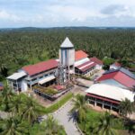 Pabrik Kelapa Sawit di Indonesia Beserta Proses Produksinya yang Lengkap